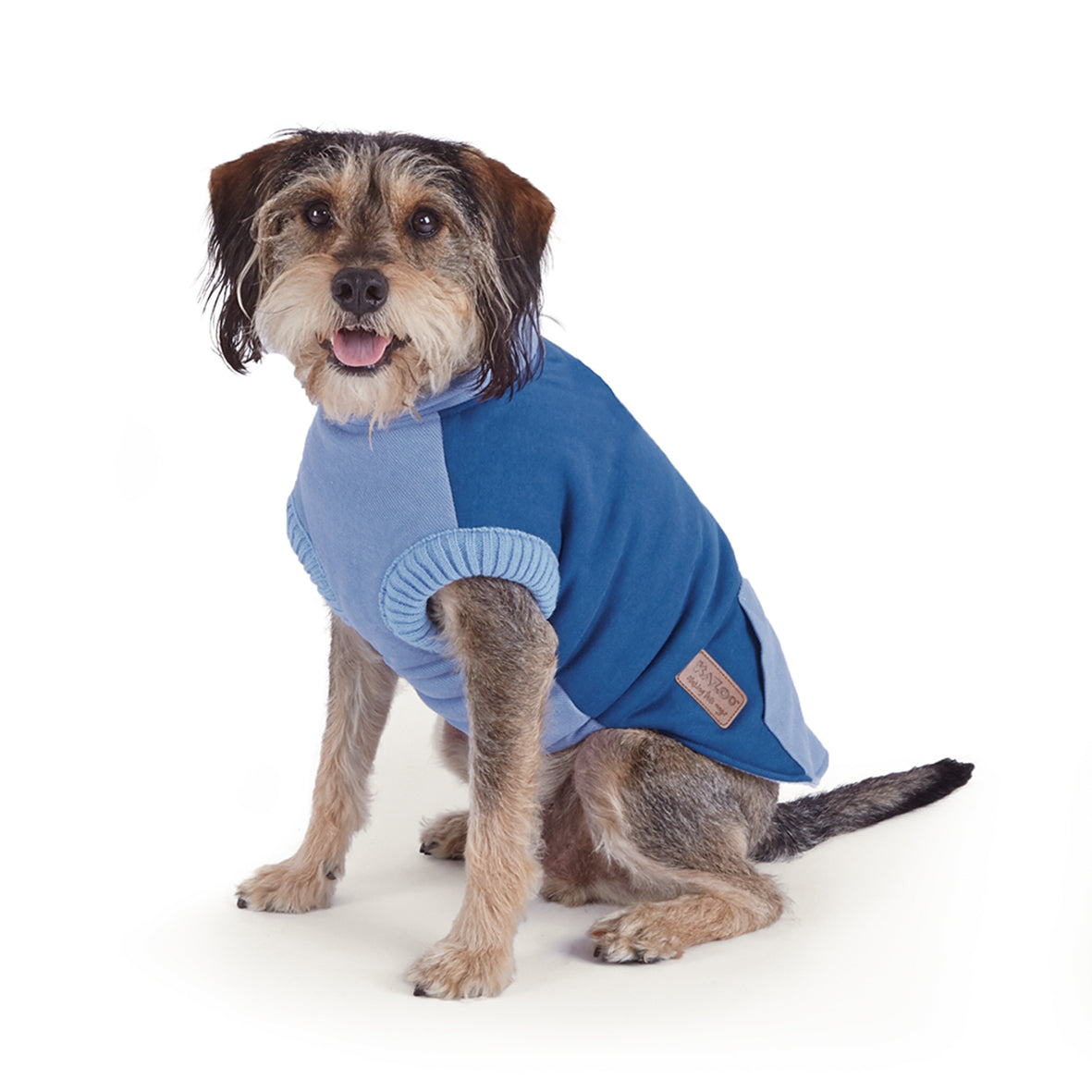 Kazoo dog jacket on sale