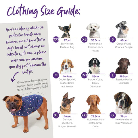 Kazoo Apparel Kick Back Dog Jacket Blue Intermediate*