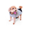 Kazoo Apparel Lamington Reversible Dog Snuggie Intermediate