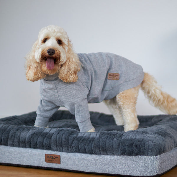 Kazoo Apparel Pyjamas Grey Intermediate