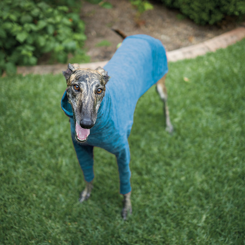 Kazoo Apparel Softie Greyhound Jumper Blue Medium*