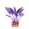 Kazoo Aquarium Artificial Plant Purple and Orange Silk with Thin Leaves Medium-Habitat Pet Supplies