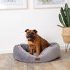 Kazoo Bilby Extra Large Grey Dog Bed