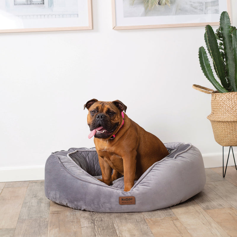 Kazoo Bilby Large Grey Dog Bed