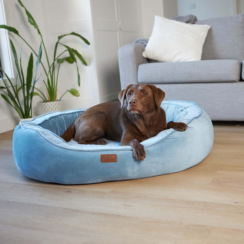 Kazoo Bilby Large Twilight Blue Dog Bed