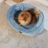 Kazoo Bilby Large Twilight Blue Dog Bed