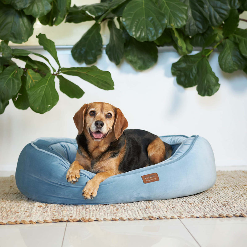 Kazoo Bilby Large Twilight Blue Dog Bed