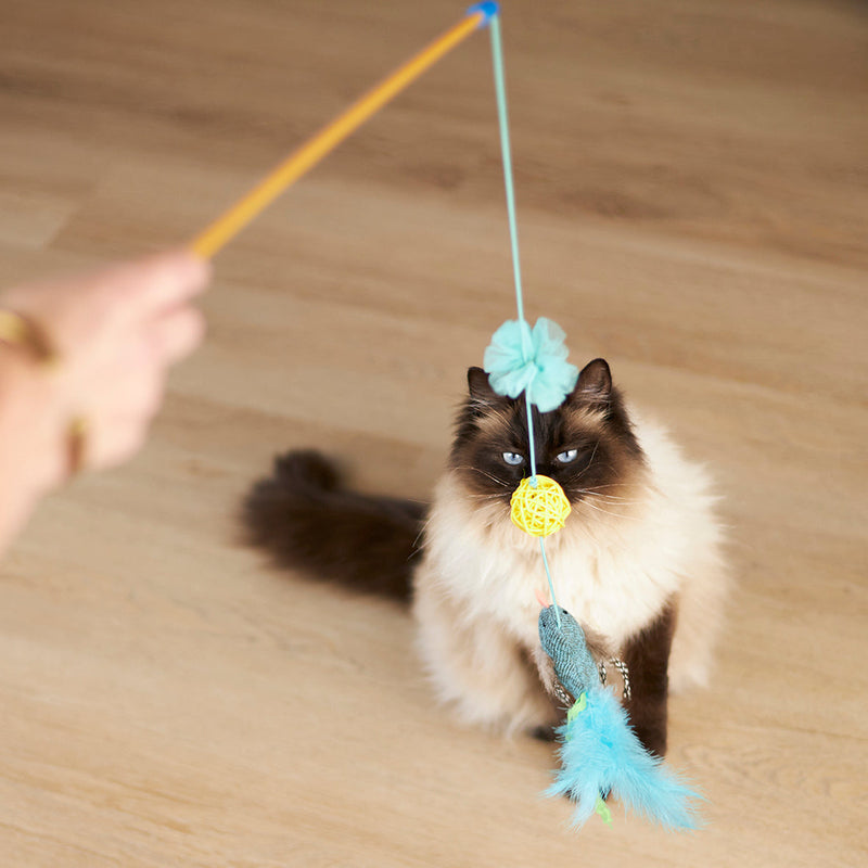 Kazoo Bluebird Chase and Play Wand Cat Toy