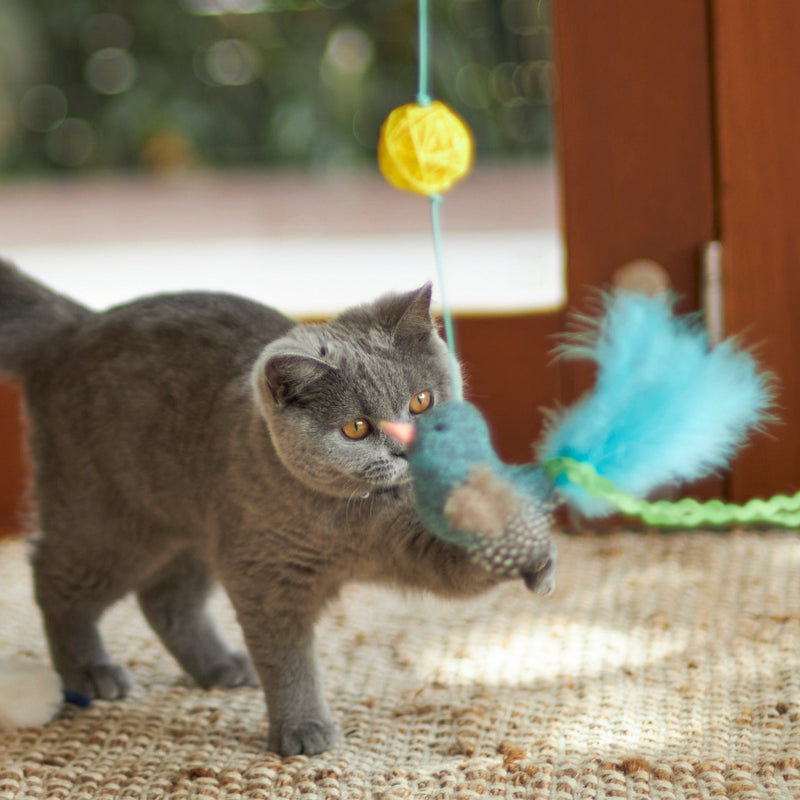 Kazoo Bluebird Chase and Play Wand Cat Toy