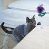 Kazoo Bouncy Fish Cat Toy-Habitat Pet Supplies
