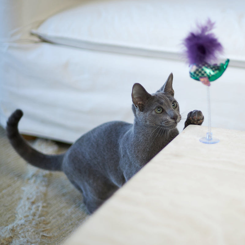 Kazoo Bouncy Fish Cat Toy-Habitat Pet Supplies