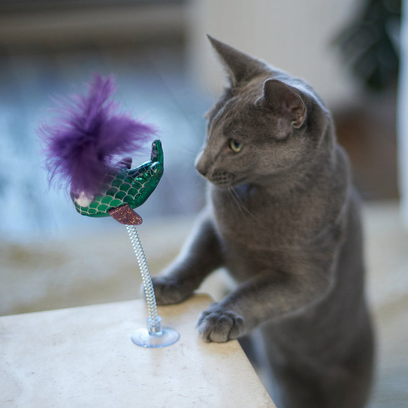 Kazoo Bouncy Fish Cat Toy ^._.^