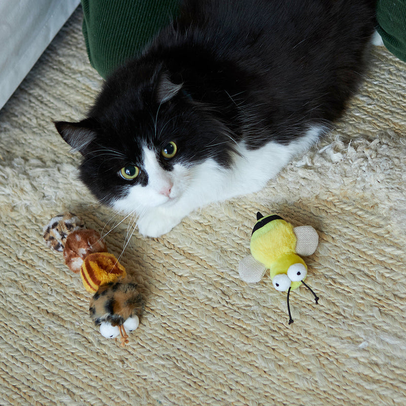 Kazoo Busy Bee Cat Toy