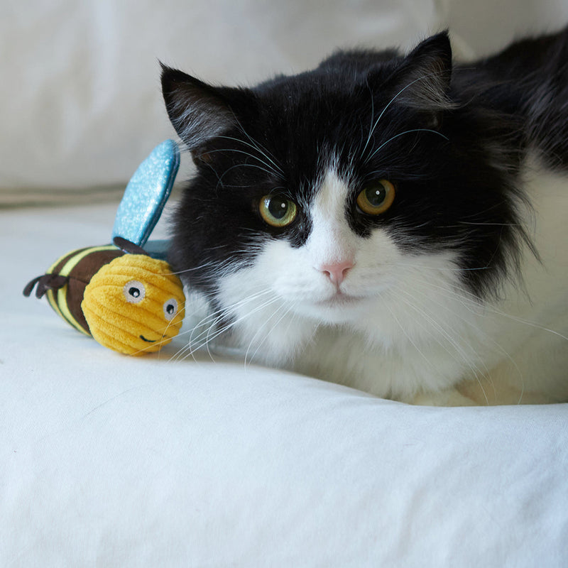 Kazoo Buzzing Bee Cat Toy-Habitat Pet Supplies