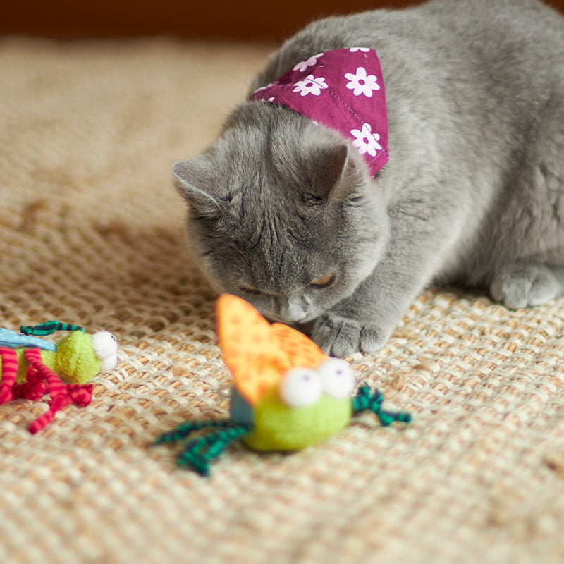 Kazoo Buzzing Bug Cat Toy