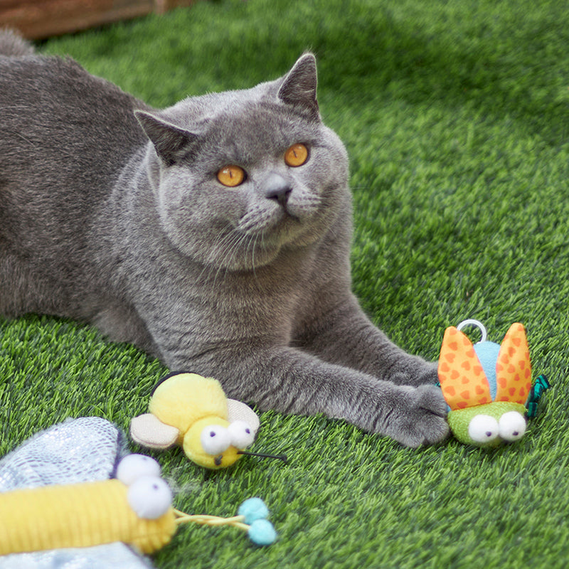 Kazoo Buzzing Bug Cat Toy ^._.^
