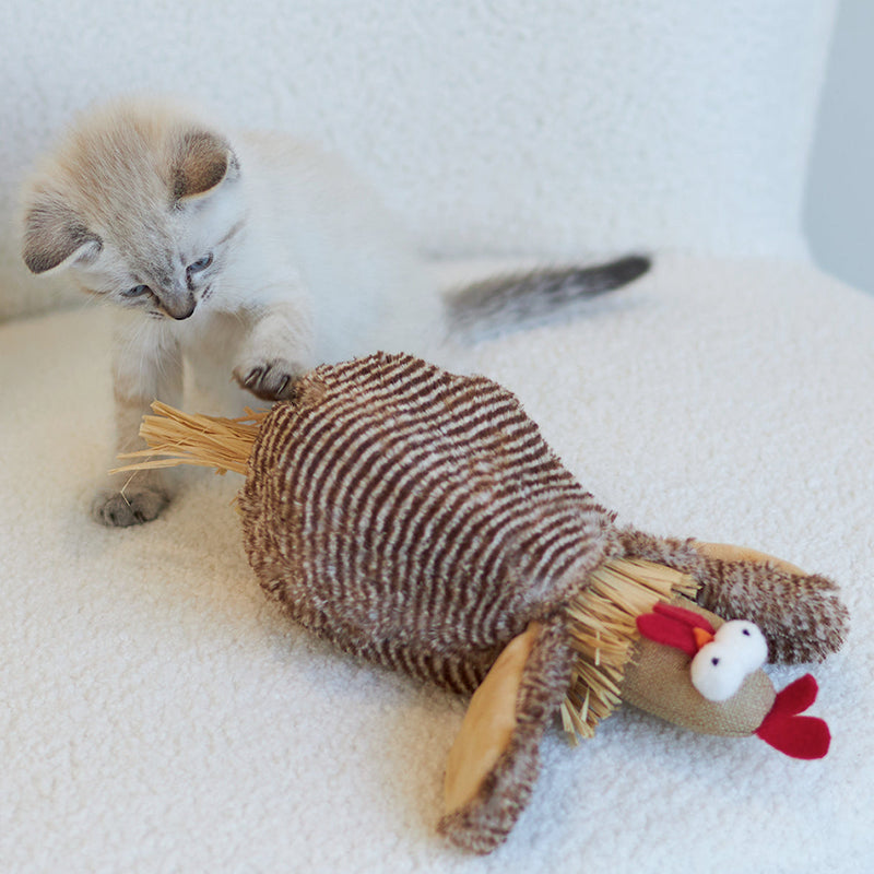 Kazoo Cheeky Chicken Cat Toy ^._.^