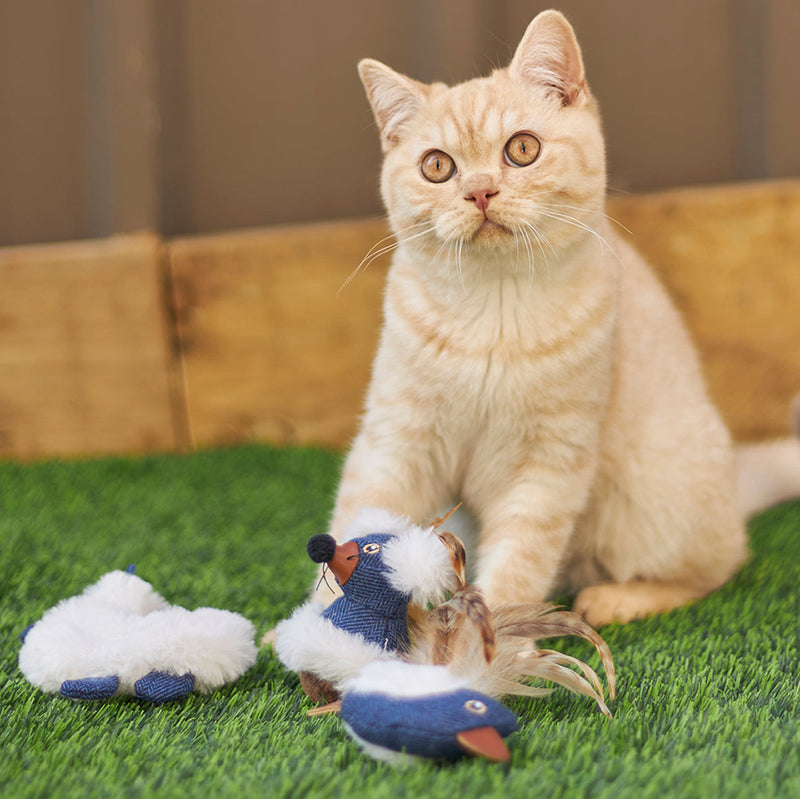Kazoo Chirpy Bird Cat Toy ^._.^