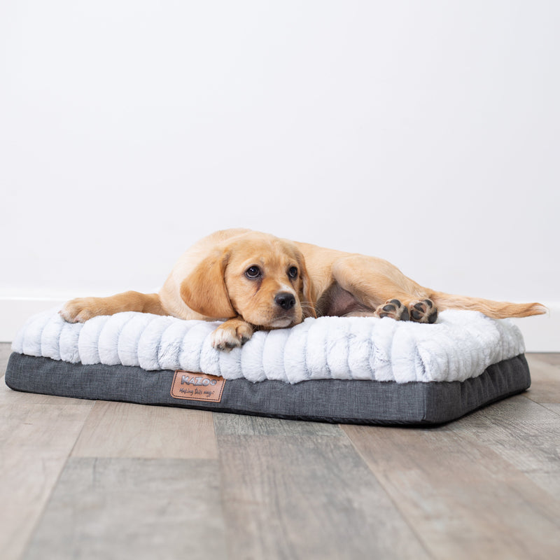 Kazoo Cloud Comfort Extra Large Grey Dog Bed