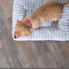 Kazoo Cloud Comfort Extra Large Grey Dog Bed