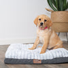 Kazoo Cloud Comfort Large Grey Dog Bed^^^