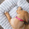 Kazoo Cloud Comfort Medium Grey Dog Bed