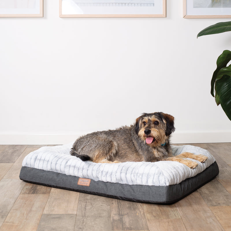 Kazoo Cloud Comfort Medium Grey Dog Bed