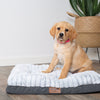 Kazoo Cloud Comfort Small Grey Dog Bed