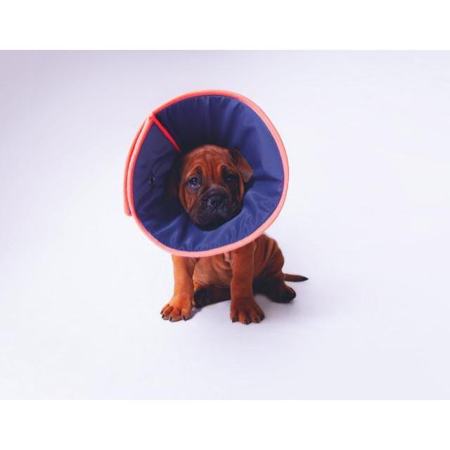 Kazoo Comfy Soft Vet Collar Size 1 Small