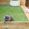 Kazoo Fantail Bird Wand Cat Toy-Habitat Pet Supplies