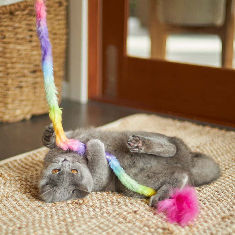 Kazoo Fluffy Rainbow Tail Wand Cat Toy ^._.^
