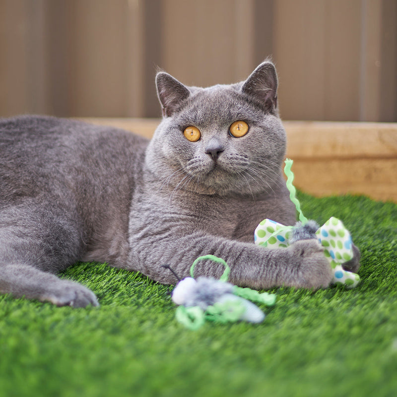 Kazoo Flutterby Cat Toy 2 Pack-Habitat Pet Supplies