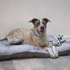 Kazoo Furries Tough Cow Dog Toy