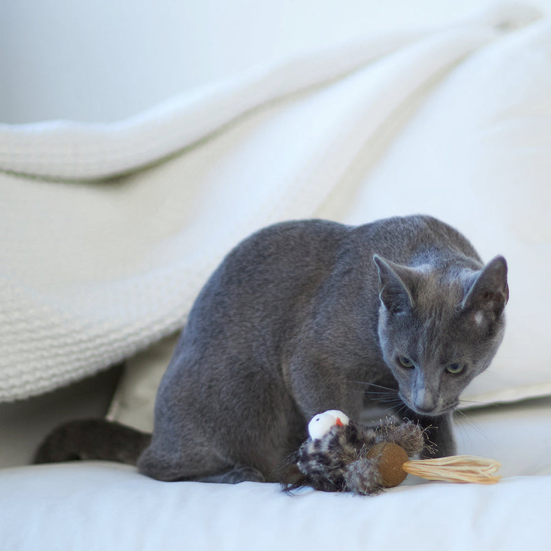 Kazoo Hooty Owl Cat Toy ^._.^