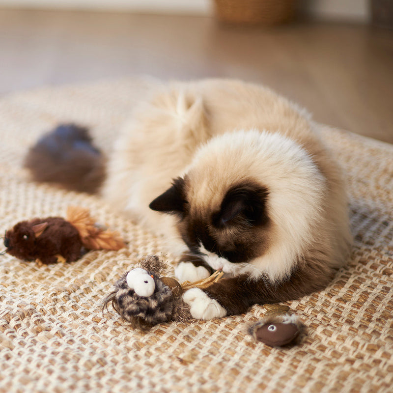 Kazoo Hooty Owl Cat Toy ^._.^