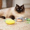 Kazoo Hungry Bunny Cat Toy-Habitat Pet Supplies