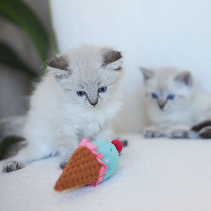 Kazoo Ice Cream Vibes Cat Toy ^._.^