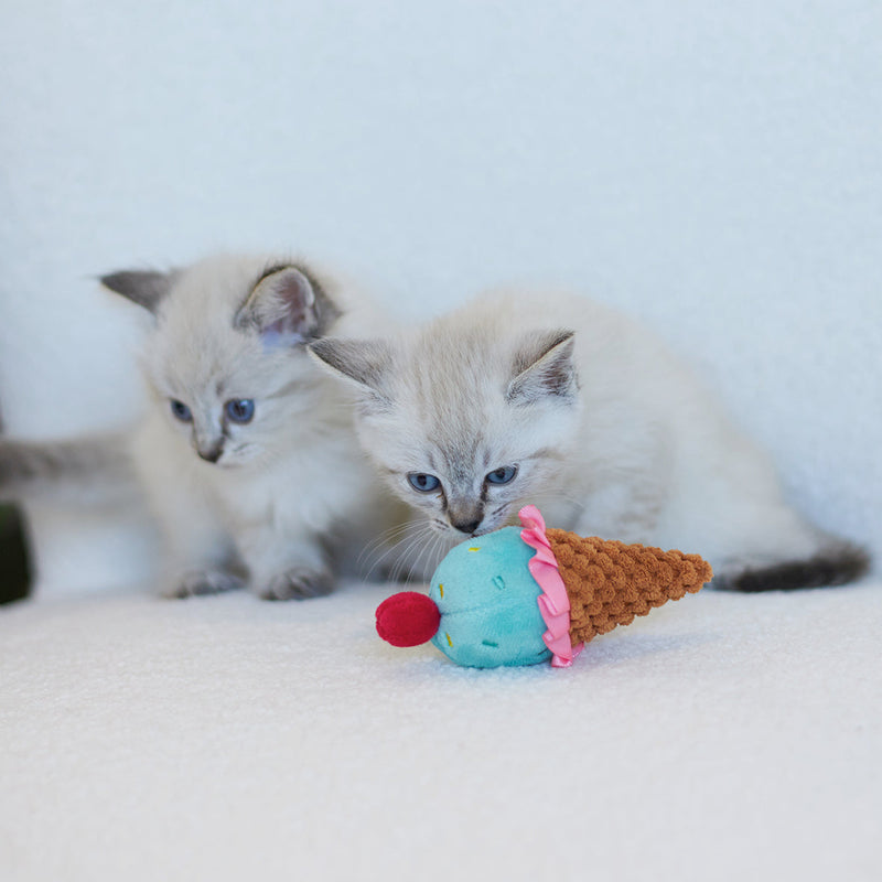 Kazoo Ice Cream Vibes Cat Toy ^._.^