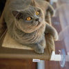 Kazoo Lookout Deluxe Window Cat Bed