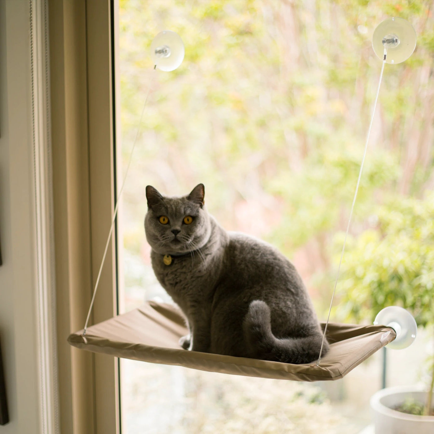 Kazoo cat bed outlet