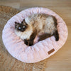 Kazoo Loop Large Blush Dog Bed***