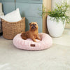 Kazoo Loop Large Blush Dog Bed***