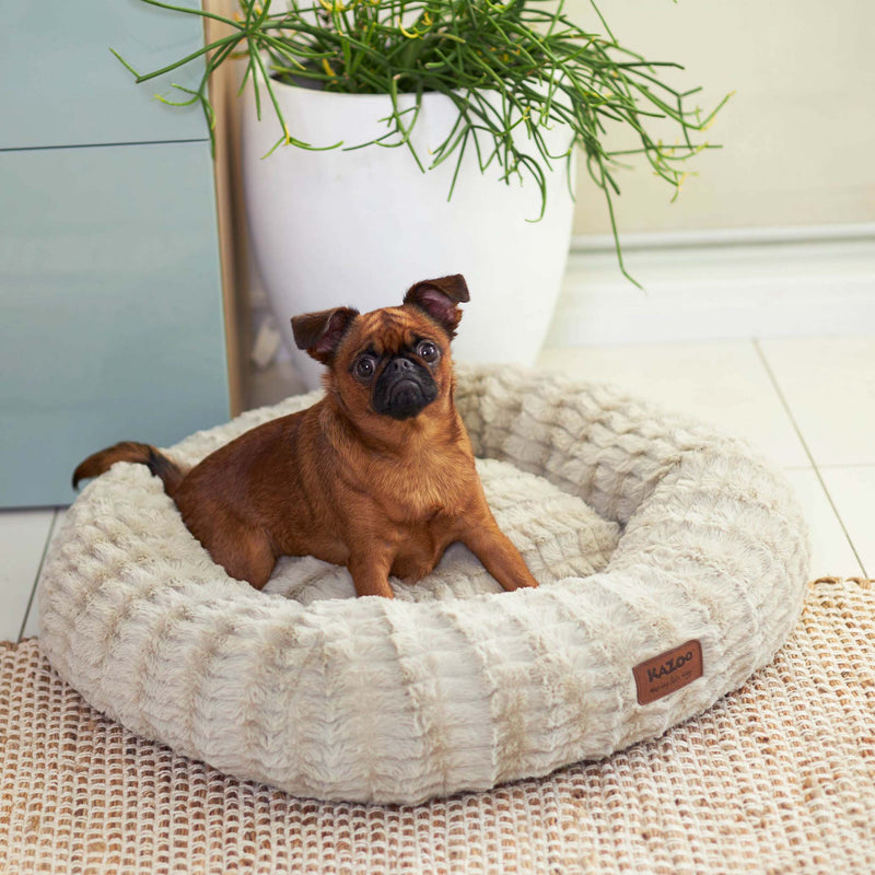 Kazoo Loop Small Clay Dog Bed***