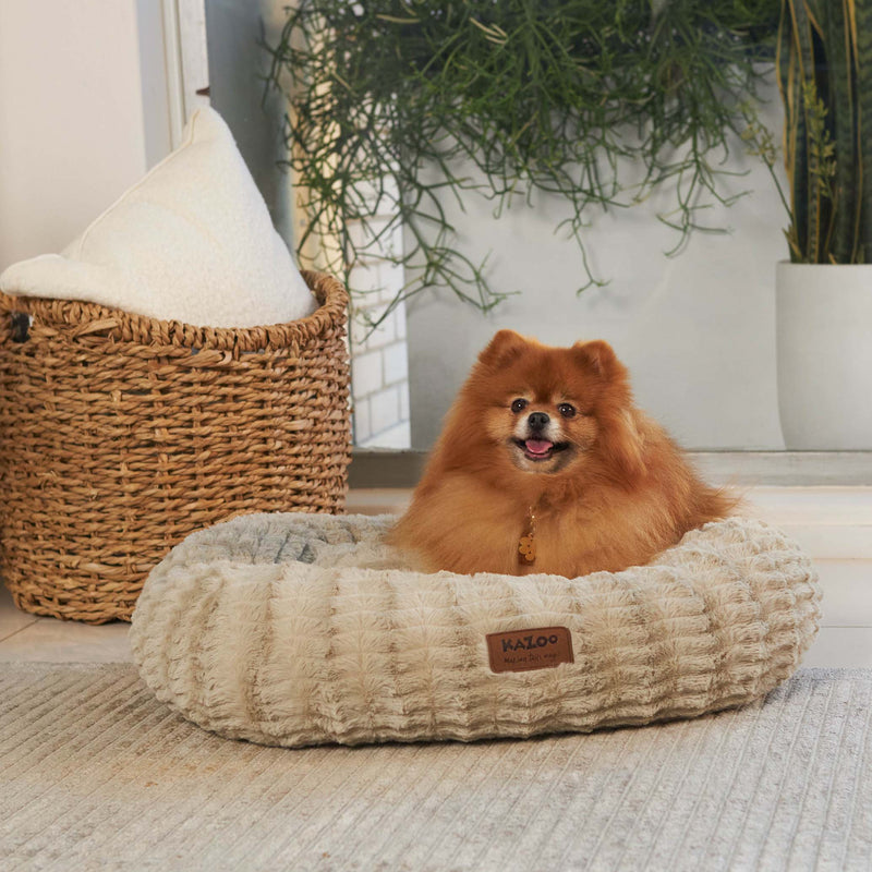 Kazoo Loop Small Clay Dog Bed***