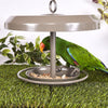 Kazoo Outdoor Bird Feeder Small***