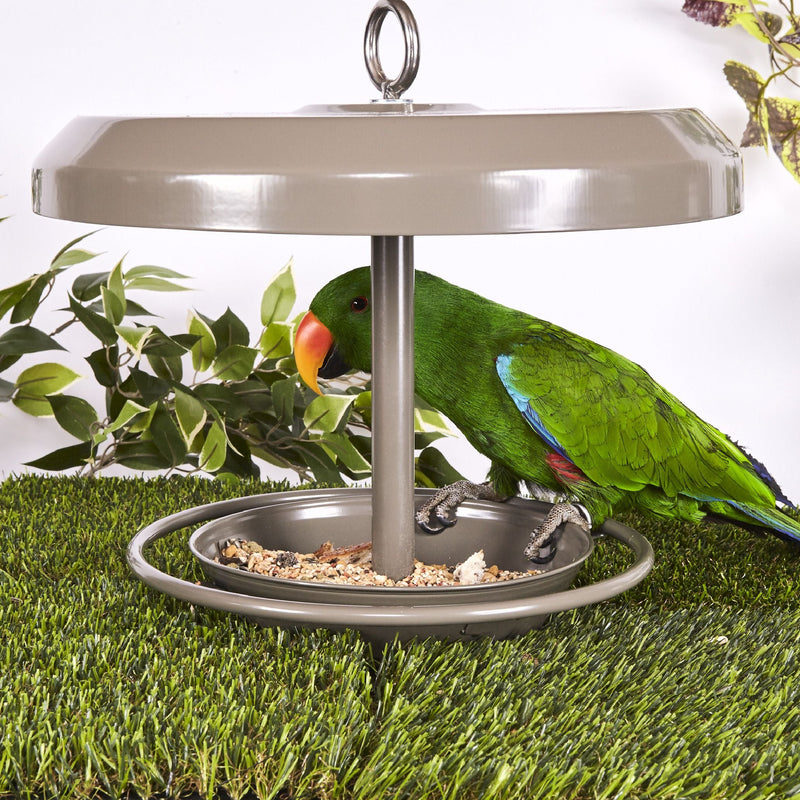Kazoo Outdoor Bird Feeder Small***