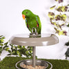 Kazoo Outdoor Bird Feeder Small***