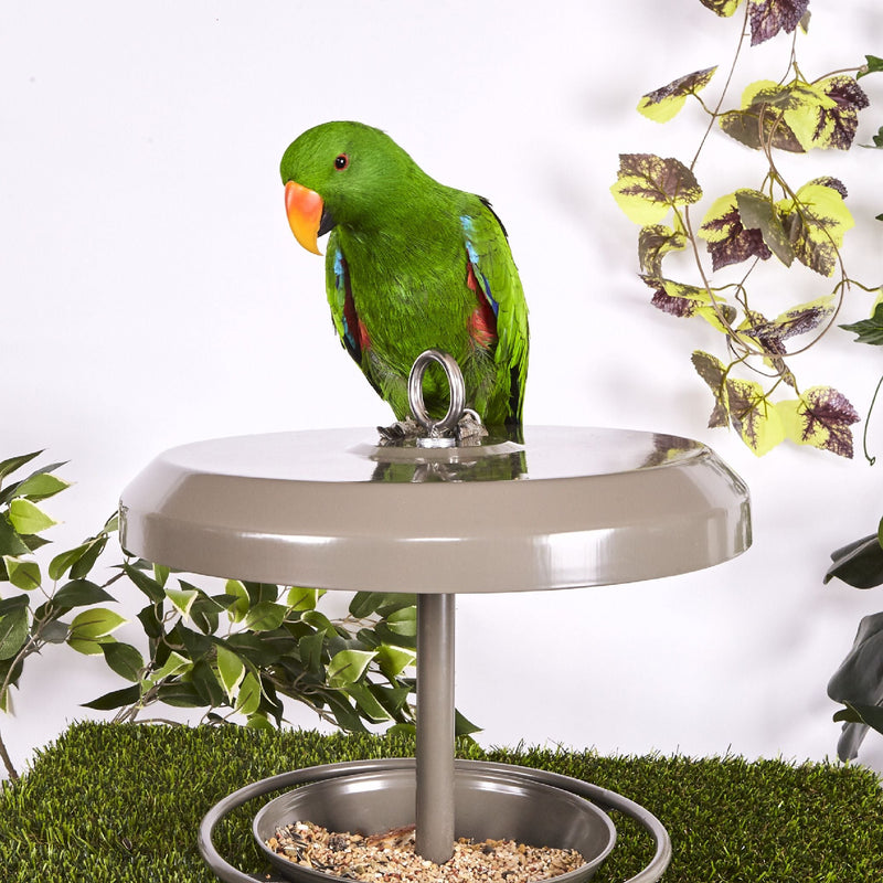 Kazoo Outdoor Bird Feeder Small***