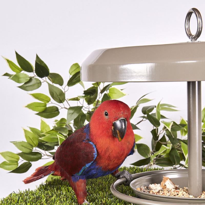 Kazoo Outdoor Bird Feeder Small***