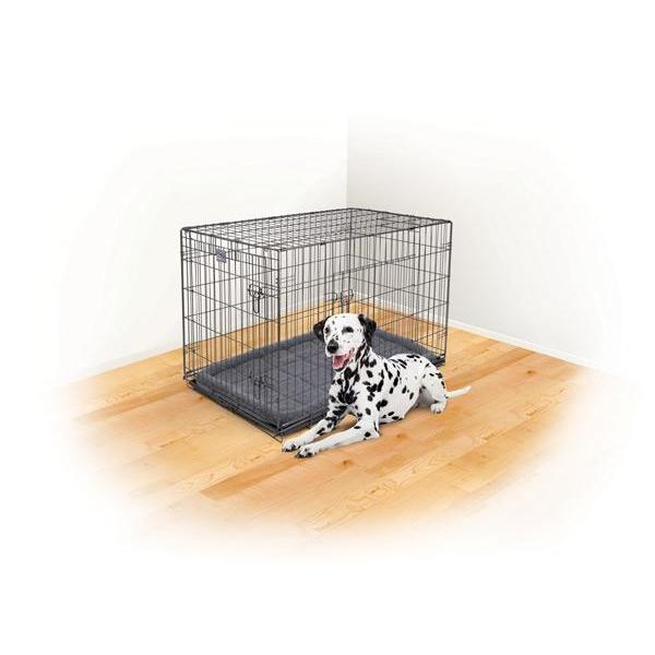 Kazoo Premium Dog Crate Extra Large-Habitat Pet Supplies